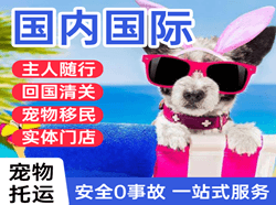 白塔机场快递国际宠物托运 【国